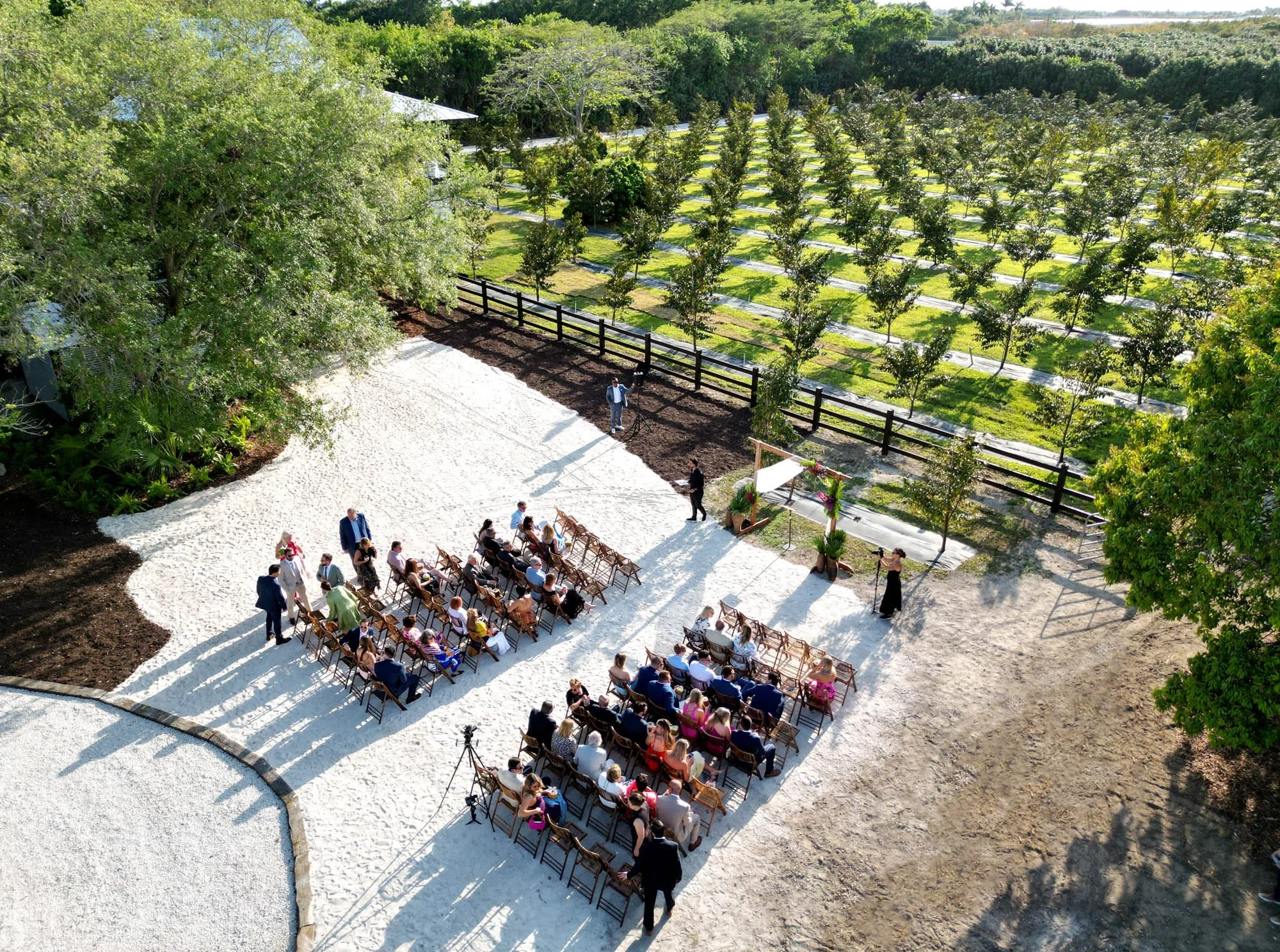 Wedding ceremony in the grove